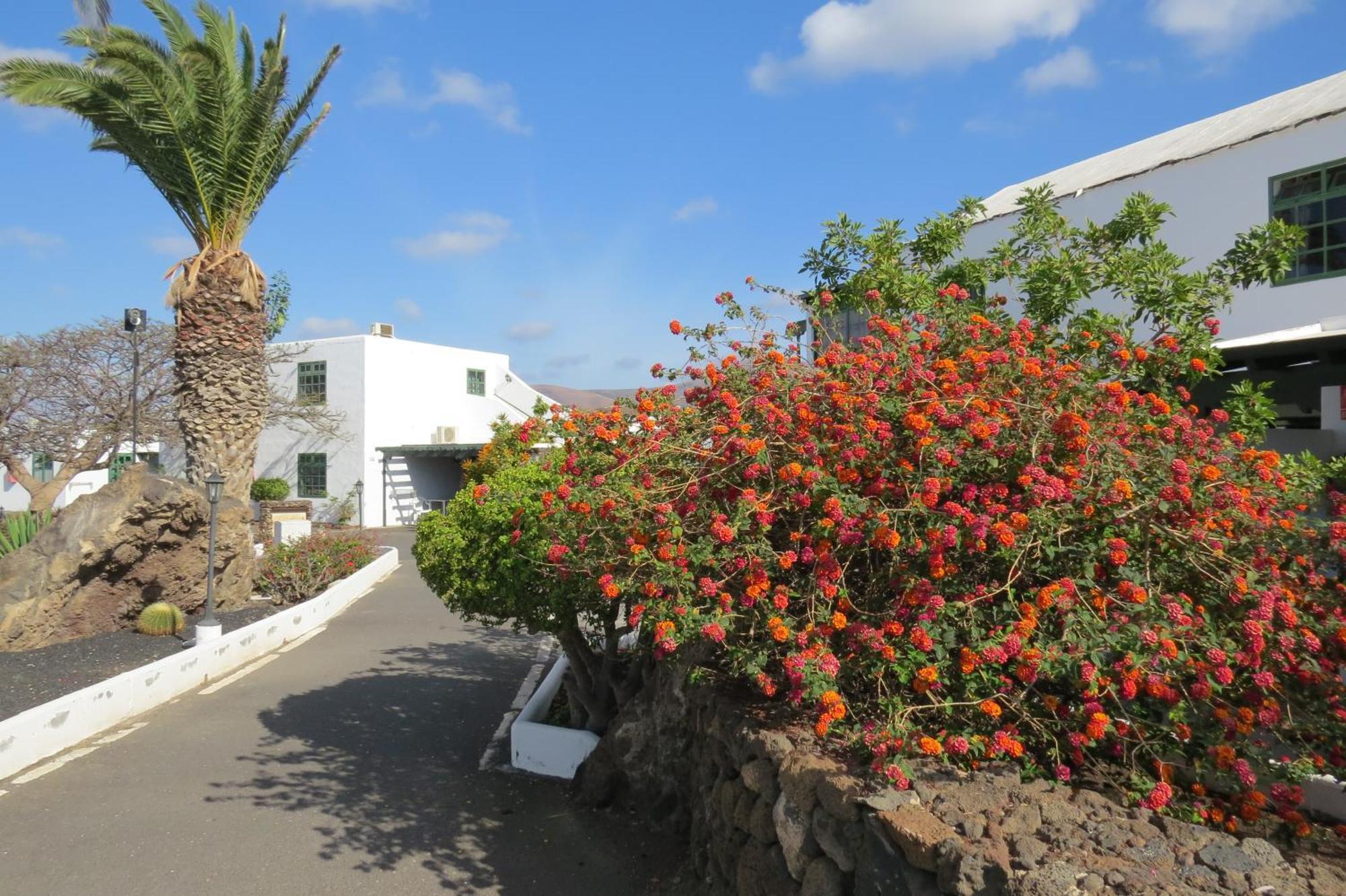 Casas Heddy, Well-Being Resort Puerto del Carmen  Extérieur photo